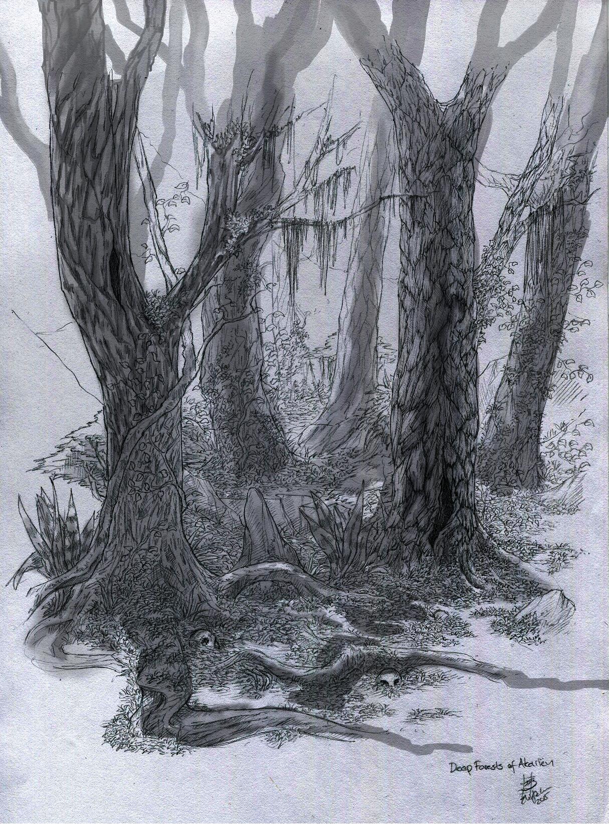 Concept art of a forest